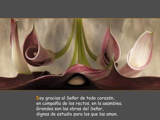 Doy gracias al Señor de todo corazón,
en compañía de los rectos, en la asamblea.
Grandes son las obras del Señor,
dignas de estudio para los que las aman.
 