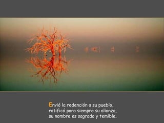 Envió la redención a su pueblo,
ratificó para siempre su alianza,
su nombre es sagrado y temible.
 