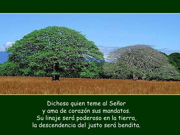 Resultado de imagen para Dichoso quien teme al Señor y ama de corazón sus mandatos
