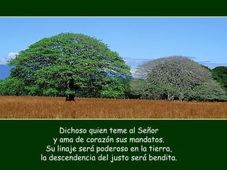 Dichoso quien teme al Señor
y ama de corazón sus mandatos.
Su linaje será poderoso en la tierra,
la descendencia del justo será bendita.
 