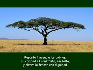 Reparte limosna a los pobres;
su caridad es constante, sin falta,
y alzará la frente con dignidad.
 