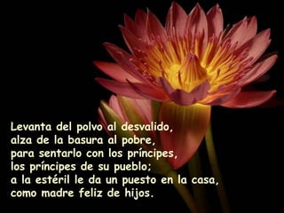 Levanta del polvo al desvalido,
alza de la basura al pobre,
para sentarlo con los príncipes,
los príncipes de su pueblo;
a la estéril le da un puesto en la casa,
como madre feliz de hijos.
 