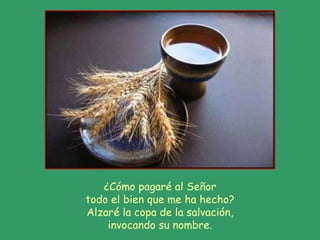 ¿Cómo pagaré al Señor todo el bien que me ha hecho? Alzaré la copa de la salvación, invocando su nombre. 