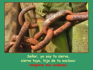 Señor, yo soy tu siervo, siervo tuyo, hijo de tu esclava: rompiste mis cadenas. 