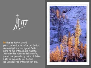 N o he de morir, viviré para contar las hazañas del Señor. Me castigó, me castigó el Señor, pero no me entregó a la muerte. Abridme las puertas del triunfo, y entraré para dar gracias al Señor. Esta es la puerta del Señor:  los vencedores entrarán por ella. 