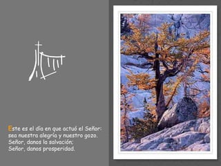 E ste es el día en que actuó el Señor:  sea nuestra alegría y nuestro gozo. Señor, danos la salvación; Señor, danos prosperidad. 