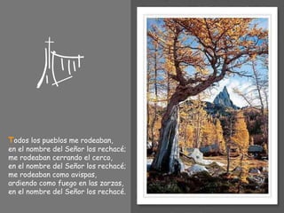 T odos los pueblos me rodeaban, en el nombre del Señor los rechacé; me rodeaban cerrando el cerco, en el nombre del Señor los rechacé; me rodeaban como avispas, ardiendo como fuego en las zarzas, en el nombre del Señor los rechacé. 