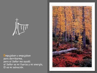 E mpujaban y empujaban  para derribarme, pero el Señor me ayudó; el Señor es mi fuerza y mi energía, El es mi salvación. 