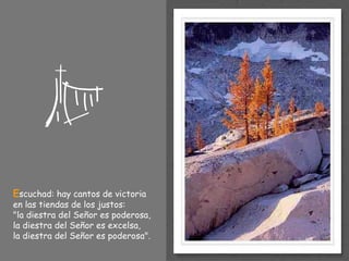 E scuchad: hay cantos de victoria  en las tiendas de los justos: "la diestra del Señor es poderosa, la diestra del Señor es excelsa, la diestra del Señor es poderosa". 
