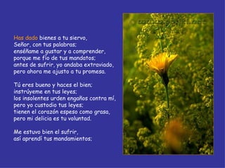 Has dado  bienes a tu siervo, Señor, con tus palabras; enséñame a gustar y a comprender, porque me fío de tus mandatos; antes de sufrir, yo andaba extraviado, pero ahora me ajusto a tu promesa. Tú eres bueno y haces el bien; instrúyeme en tus leyes; los insolentes urden engaños contra mí, pero yo custodio tus leyes; tienen el corazón espeso como grasa, pero mi delicia es tu voluntad. Me estuvo bien el sufrir, así aprendí tus mandamientos; 