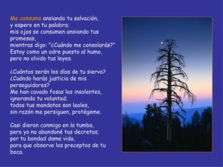 Me consumo  ansiando tu salvación, y espero en tu palabra; mis ojos se consumen ansiando tus promesas, mientras digo: "¿Cuándo me consolarás?" Estoy como un odre puesto al humo, pero no olvido tus leyes. ¿Cuántos serán los días de tu siervo? ¿Cuándo harás justicia de mis perseguidores? Me han cavado fosas los insolentes, ignorando tu voluntad; todos tus mandatos son leales, sin razón me persiguen, protégeme. Casi dieron conmigo en la tumba, pero yo no abandoné tus decretos; por tu bondad dame vida, para que observe los preceptos de tu boca. 