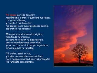 Te invoco  de todo corazón: respóndeme, Señor, y guardaré tus leyes; a ti grito: sálvame, y cumpliré tus decretos; me adelanto a la aurora pidiendo auxilio, esperando tus palabras. Mis ojos se adelantan a las vigilias, meditando tu promesa; escucha mi voz por tu misericordia, con tus mandamientos dame vida; ya se acercan mis inicuos perseguidores, están lejos de tu voluntad. Tú, Señor, estás cerca, y todos tus mandatos son estables; hace tiempo comprendí que tus preceptos los fundaste para siempre. 