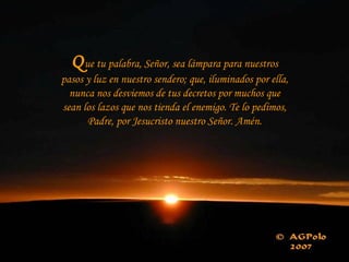 Q ue tu palabra, Señor, sea lámpara para nuestros pasos y luz en nuestro sendero; que, iluminados por ella, nunca nos desviemos de tus decretos por muchos que sean los lazos que nos tienda el enemigo. Te lo pedimos, Padre, por Jesucristo nuestro Señor. Amén. 