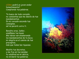 ¿Cómo  podrá un joven andar honestamente? Cumpliendo tus palabras. Te busco de todo corazón, no consientas que me desvíe de tus mandamientos. En mi corazón escondo tus consignas, así no pecaré  contra  ti. Bendito eres, Señor, enséñame tus leyes. Mis labios van enumerando los mandamientos de tu boca; mi alegría es el camino de tus preceptos, más que todas las riquezas. Medito tus decretos, y me fijo en tus sendas; tu voluntad es mi delicia, no olvidaré tus palabras. 