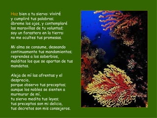 Haz  bien a tu siervo:  viviré y cumpliré tus palabras; ábreme los ojos, y contemplaré las maravillas de tu voluntad; soy un forastero en la tierra: no me ocultes tus promesas. Mi alma se consume, deseando continuamente tus mandamientos; reprendes a los soberbios, malditos los que se apartan de tus mandatos. Aleja de mí las afrentas y el desprecio, porque observo tus preceptos; aunque los nobles se sienten a murmurar de mí, tu siervo medita tus leyes; tus preceptos son mi delicia, tus decretos son mis consejeros. 