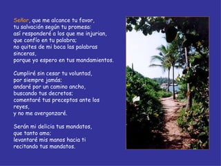 Señor , que me alcance tu favor, tu salvación según tu promesa: así responderé a los que me injurian, que confío en tu palabra; no quites de mi boca las palabras sinceras, porque yo espero en tus mandamientos. Cumpliré sin cesar tu voluntad, por siempre jamás; andaré por un camino ancho, buscando tus decretos; comentaré tus preceptos ante los reyes, y no me avergonzaré. Serán mi delicia tus mandatos, que tanto amo; levantaré mis manos hacia ti recitando tus mandatos. 