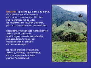 Recuerda  la palabra que diste a tu siervo, de la que hiciste mi esperanza; este es mi consuelo en la aflicción: que tu promesa me da vida; los insolentes me insultan sin parar, pero yo no me aparto de tus mandatos. Recordando tus antiguos mandamientos, Señor, quedé consolado; sentí indignación ante los malvados, que abandonan tu voluntad; tus leyes eran mi canción en tierra extranjera. De noche pronuncio tu nombre, Señor, y, velando, tus preceptos; esto es lo que a mí me toca: guardar tus decretos. 