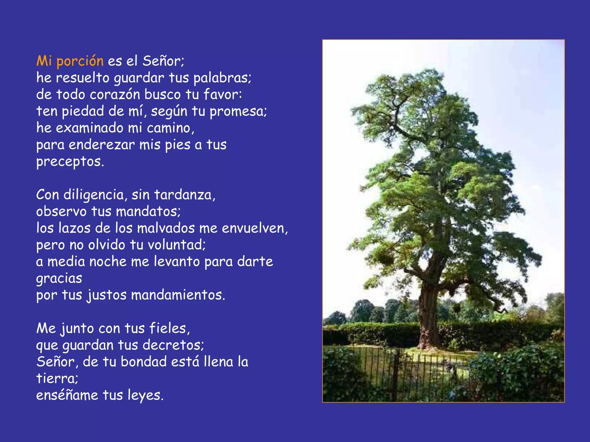 Mi porción  es el Señor; he resuelto guardar tus palabras; de todo corazón busco tu favor: ten piedad de mí, según tu promesa; he examinado mi camino, para enderezar mis pies a tus preceptos. Con diligencia, sin tardanza, observo tus mandatos; los lazos de los malvados me envuelven, pero no olvido tu voluntad; a media noche me levanto para darte gracias por tus justos mandamientos. Me junto con tus fieles, que guardan tus decretos; Señor, de tu bondad está llena la tierra; enséñame tus leyes. 