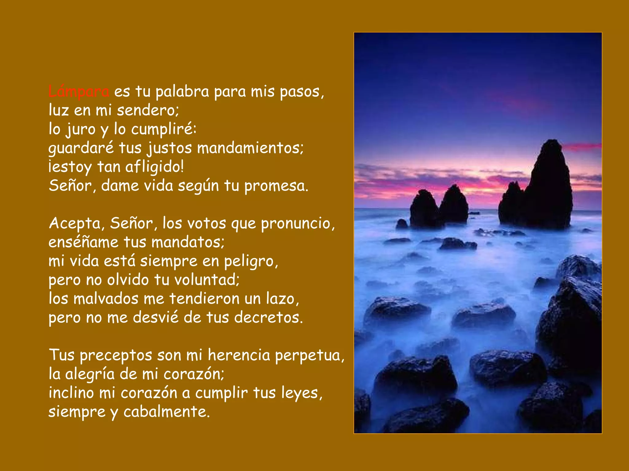 Lámpara  es tu palabra para mis pasos, luz en mi sendero; lo juro y lo cumpliré: guardaré tus justos mandamientos; ¡estoy tan afligido! Señor, dame vida según tu promesa. Acepta, Señor, los votos que pronuncio, enséñame tus mandatos; mi vida está siempre en peligro, pero no olvido tu voluntad; los malvados me tendieron un lazo, pero no me desvié de tus decretos. Tus preceptos son mi herencia perpetua, la alegría de mi corazón; inclino mi corazón a cumplir tus leyes, siempre y cabalmente. 