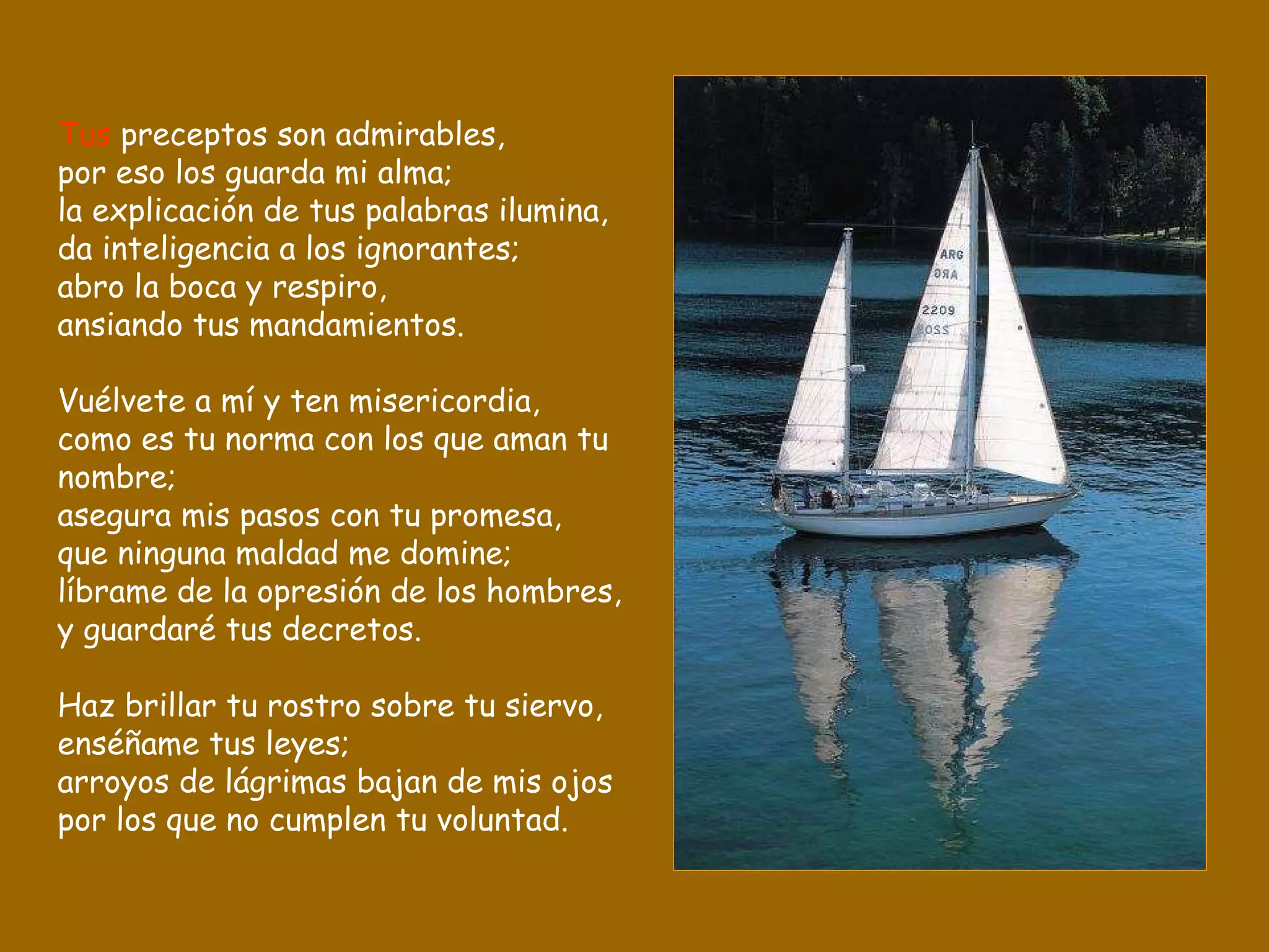 Tus  preceptos son admirables, por eso los guarda mi alma; la explicación de tus palabras ilumina, da inteligencia a los ignorantes; abro la boca y respiro, ansiando tus mandamientos. Vuélvete a mí y ten misericordia, como es tu norma con los que aman tu nombre; asegura mis pasos con tu promesa, que ninguna maldad me domine; líbrame de la opresión de los hombres, y guardaré tus decretos. Haz brillar tu rostro sobre tu siervo, enséñame tus leyes; arroyos de lágrimas bajan de mis ojos por los que no cumplen tu voluntad. 