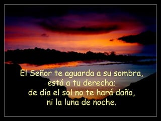 El Señor te aguarda a su sombra,
está a tu derecha;
de día el sol no te hará daño,
ni la luna de noche.
 