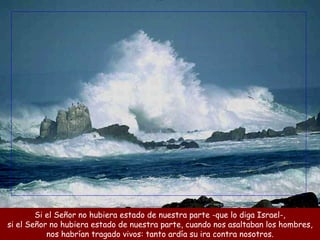 Si el Señor no hubiera estado de nuestra parte -que lo diga Israel-, si el Señor no hubiera estado de nuestra parte, cuando nos asaltaban los hombres, nos habrían tragado vivos: tanto ardía su ira contra nosotros. 
