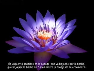 Es ungüento precioso en la cabeza, que va bajando por la barba,
que baja por la barba de Aarón, hasta la franja de su ornamento.
 