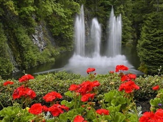 En este bello poema se expresan elocuentemente
los sentimientos de los israelitas deportados a
Babilonia:
+ la profunda nostalgia que experimentaban al
acordarse de su patria (v. I)
+ y la tristeza que les provocaba el sarcasmo
de sus opresores (v. 3).
La destrucción de Jerusalén y del Templo, y la
dura experiencia del exilio, explican de alguna
manera el odio expresado en las invectivas contra
Babilonia y contra todos los que se alegraron por
la ruina de Israel (vs. 7-9).
 