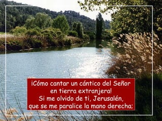 ¡Cómo cantar un cántico del Señor
en tierra extranjera!
Si me olvido de ti, Jerusalén,
que se me paralice la mano derecha;
 