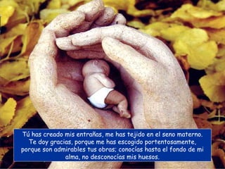 Tú has creado mis entrañas, me has tejido en el seno materno.
Te doy gracias, porque me has escogido portentosamente,
porque son admirables tus obras; conocías hasta el fondo de mi
alma, no desconocías mis huesos.
 