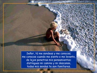 Señor, tú me sondeas y me conoces;
me conoces cuando me siento o me levanto,
de lejos penetras mis pensamientos;
distingues mi camino y mi descanso,
todas mis sendas te son familiares.
 