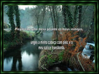 Prepara-me uma mesa perante os meus inimigos,  unges a minha cabeça com óleo, e o  meu cálice transborda. 