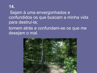 14.  Sejam à uma envergonhados e confundidos os que buscam a minha vida para destruí-la;  tornem atrás e confundam-se os que me desejam o mal.  
