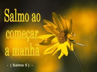 - ( Salmo 5 ) -- ( Salmo 5 ) -
 