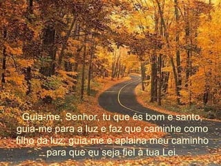 Guia-me, Senhor, tu que és bom e santo,
guia-me para a luz e faz que caminhe como
filho da luz; guia-me e aplaina meu caminho
para que eu seja fiel à tua Lei.
 