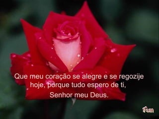 Que meu coração se alegre e se regozije
hoje, porque tudo espero de ti,
Senhor meu Deus.
 