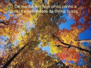 De manhã, em teus olhos ponho a
pureza e sinceridade da minha busca...
 