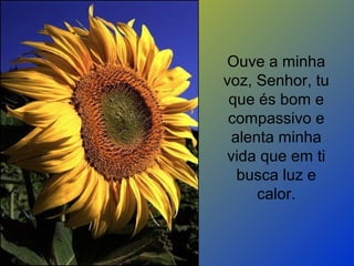 Ouve a minha
voz, Senhor, tu
que és bom e
compassivo e
alenta minha
vida que em ti
busca luz e
calor.
 