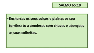 SALMO 65:10
•Encharcas os seus sulcos e plainas os seu
torrões; tu a amoleces com chuvas e abençoas
as suas colheitas.
 