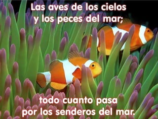 Las aves de los cielos
  y los peces del mar;




    todo cuanto pasa
por los senderos del mar.
 