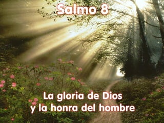 Salmo 8




   La gloria de Dios
y la honra del hombre
 