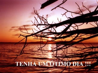 TENHA UM ÓTIMO DIA !!! 