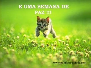 E UMA SEMANA DE PAZ !!!   www.otimismoemrede.com 
