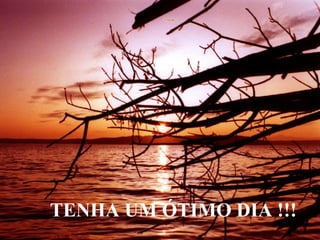 TENHA UM ÓTIMO DIA !!! 