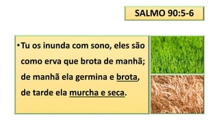 SALMO 90:5-6
•Tu os inunda com sono, eles são
como erva que brota de manhã;
de manhã ela germina e brota,
de tarde ela murcha e seca.
 