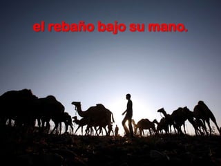 el rebaño bajo su mano.
 