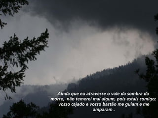 Ainda que eu atravesse o vale da sombra da  morte,  não temerei mal algum, pois estais comigo;  vosso cajado e vosso bastão me guiam e me  amparam . 