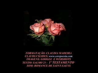 FORMATAÇÃO: CLAUDIA MADEIRA CLAUDIA’SLIDES:  www.corepoesia.com IMAGENS: GOOGLE  E WEBSHOTS TEXTO: SALMO 23 -  1º TESTAMENTO   SOM: ROMANCE DE SAINT-SAENS 