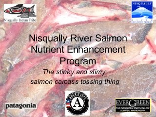 Nisqually River Salmon
Nutrient Enhancement
Program
The stinky and slimy
salmon carcass tossing thing

 