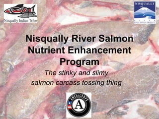 Nisqually River Salmon
Nutrient Enhancement
Program
The stinky and slimy
salmon carcass tossing thing
 